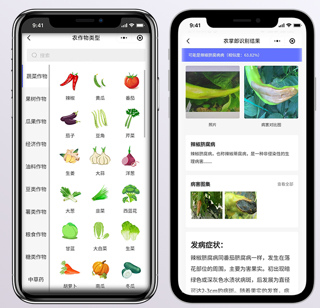 谁在用农掌郎