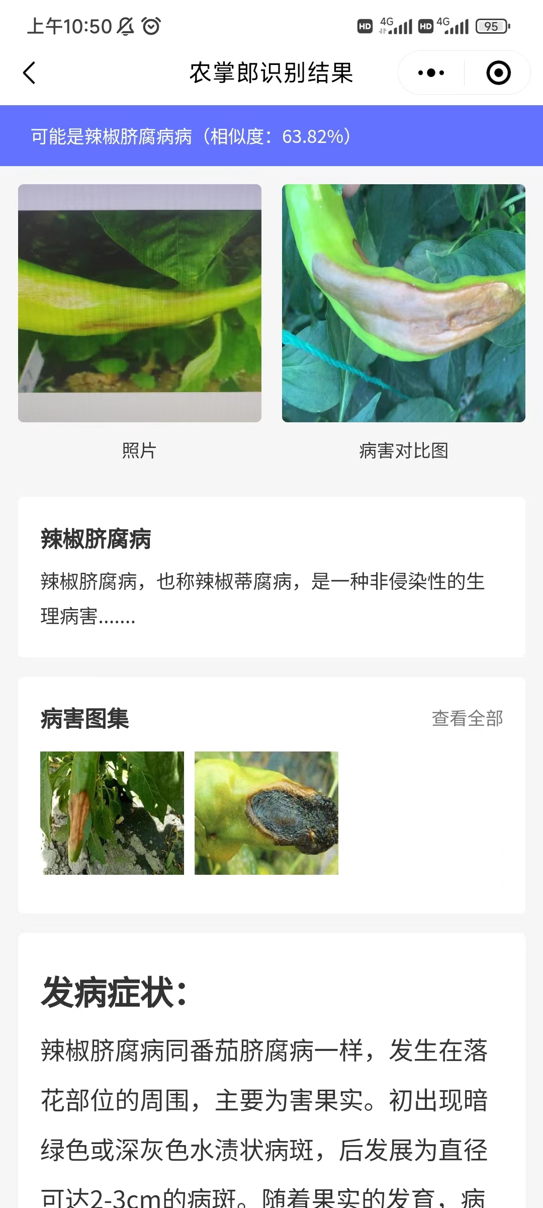 “农掌郎谢谢你，让我有资本立足农资行业”