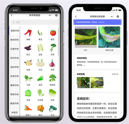 农作物病虫害识别