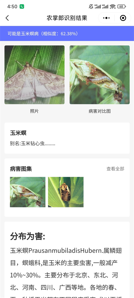 用农掌郎轻松识别和防治夏玉米常见病虫害