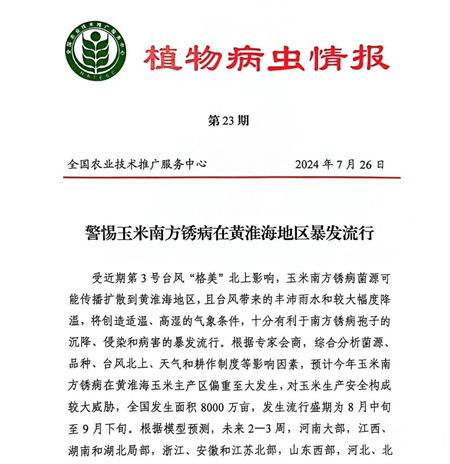 玉米锈病大暴发？快用农掌郎诊断一下你的玉米是否健康