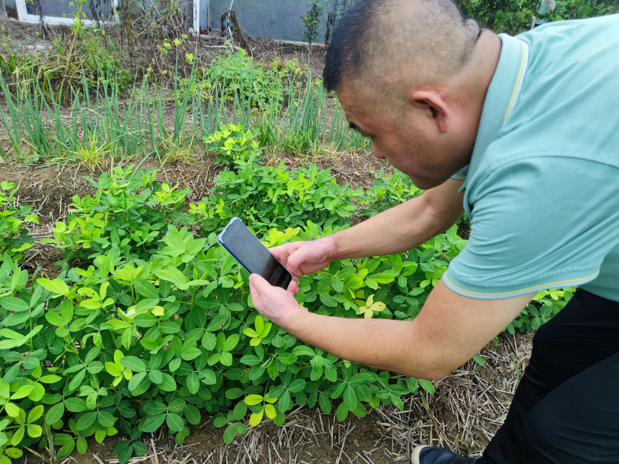 “方法不对努力白费”，植保服务还得是农掌郎