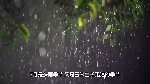 【掌郎课堂】7月玉米病虫害防治早知道