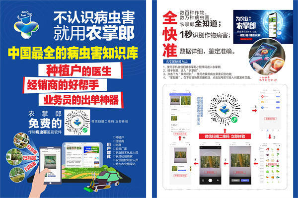 用农掌郎识别作物病虫害，让农业&ldquo;小白&rdquo;轻松当上植保专家