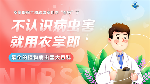 2024农掌郎助我在农资行业乘风破浪