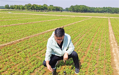 从小白到农民眼里的&ldquo;病虫害百科全书&rdquo;，就差一个农掌郎