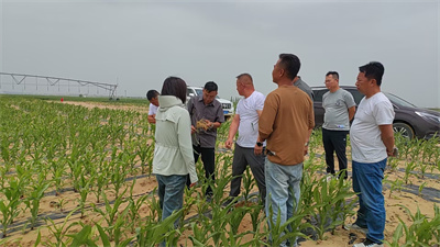 有了农掌郎，你也能轻松成为植保专家！