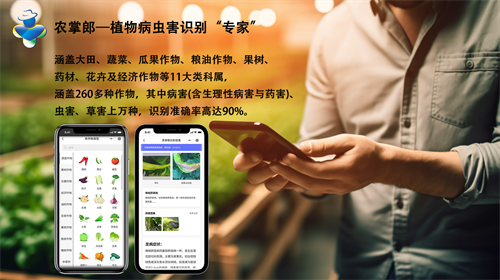 农掌郎，农民手里给农作物看病的&ldquo;郎中&rdquo;