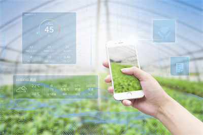 【掌郎播报】8月5日磷肥、钾肥、复合肥价格行情