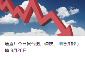 【掌郎播报】8月26日磷肥、钾肥、复合肥价格行情