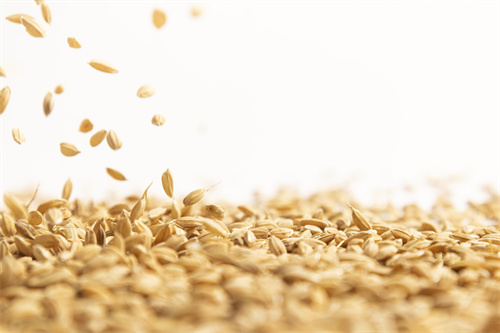 植物病虫害识别软件农掌郎告诉你如何看种子是不是假的？