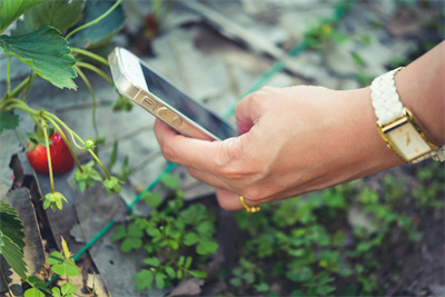 【掌郎播报】9月25日磷肥、钾肥、复合肥价格行情