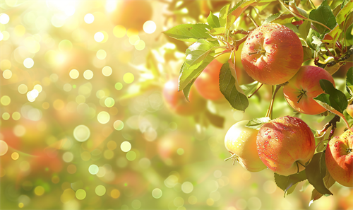 果树严重落果是怎么回事？