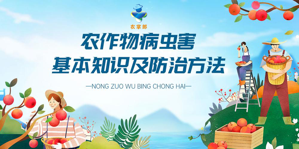 寒潮突袭，如何保护小麦正常生长？