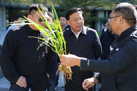 加快培育农业新质生产力 有力有效推进乡村***振兴