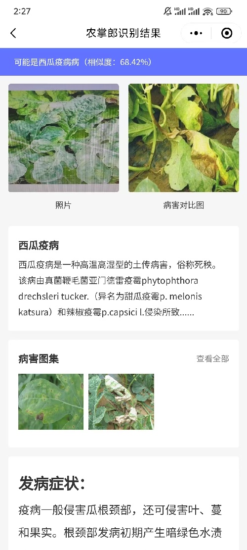 【掌郎课堂】瓜类各时期主要病害的识别与防治技术