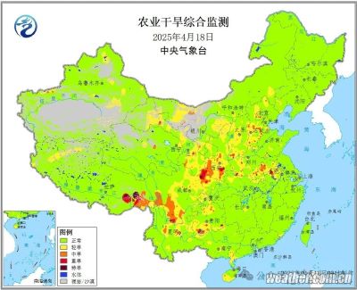 注意！小麦目前干旱，应该如何管理才能确保产量？